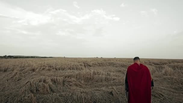Caballero romano con armadura posinf en campo seco . — Vídeos de Stock