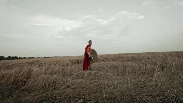 Spartaans in rode mantel poserend in droog veld. — Stockvideo