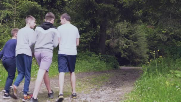 Teens walking through wet spruce forest road. — Stock Video