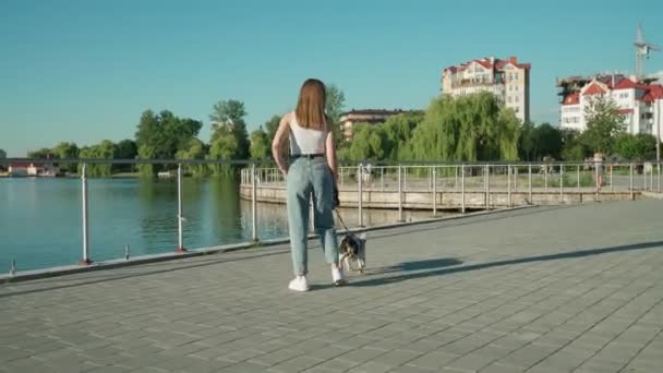 Aantrekkelijk meisje genieten wandeling met franse bulldog in de buurt van meer. — Stockvideo