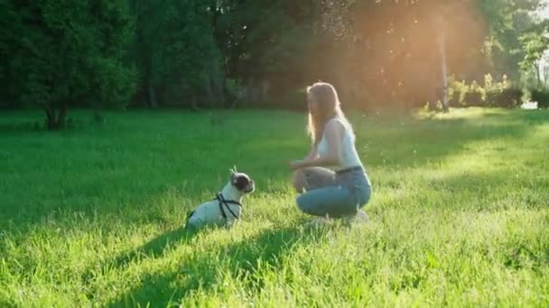 Young woman training french bulldog in park. — Stock Video