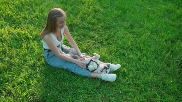 Mujer joven acariciando bulldog francés en la hierba. — Vídeos de Stock