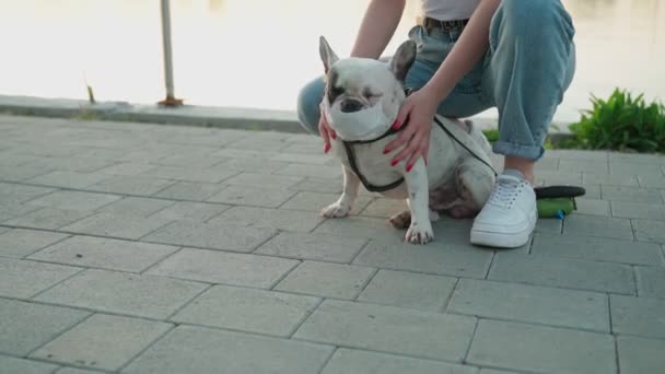 Ung kvinna går med fransk bulldogg i parken. — Stockvideo