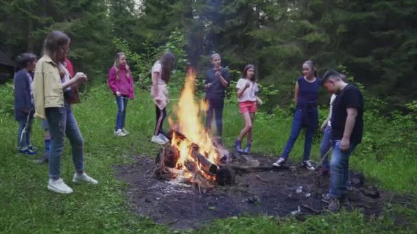 Teenky baví poblíž táboráku. — Stock video