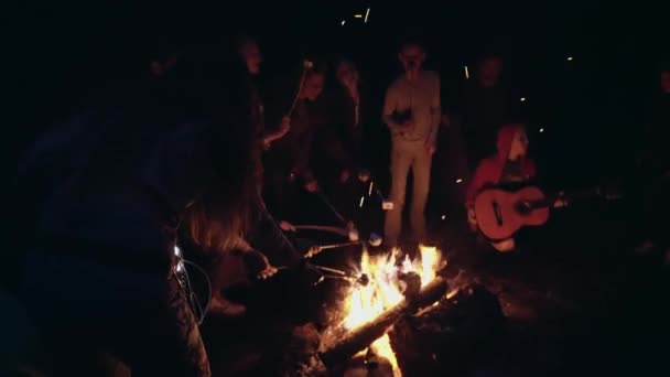 Друзья, жарящие зефир в огне . — стоковое видео