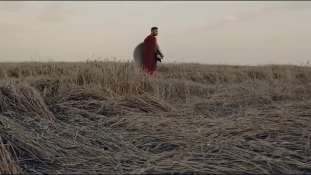 Shirtless spartan ποζάρουν σε ξηρό πεδίο. — Αρχείο Βίντεο