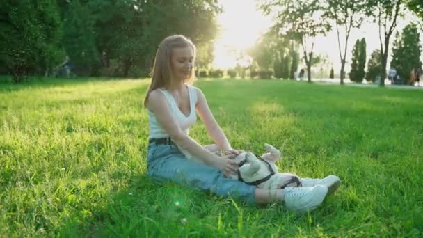 Mujer sonriente acariciando bulldog francés en la hierba. — Vídeos de Stock