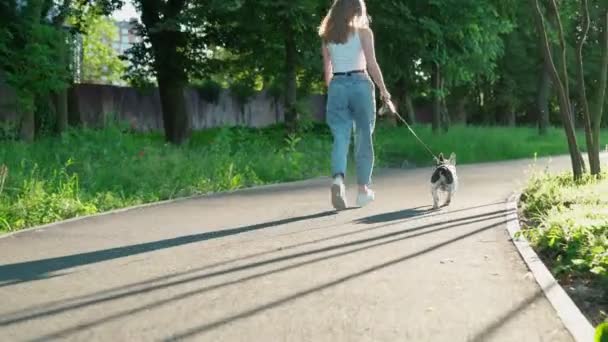 Mujer joven corriendo con bulldog francés en el parque. — Vídeos de Stock