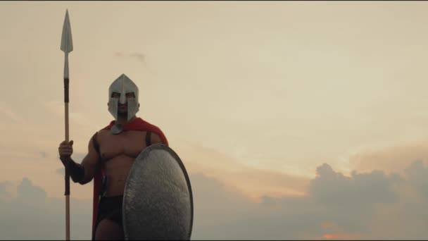 Spartan posing with spear in field. — Stock Video