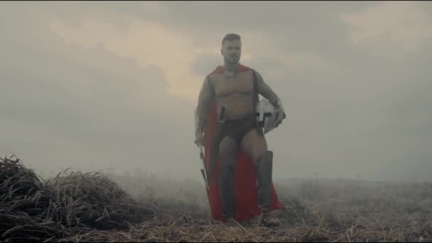 Спартанская ходьба с копьём в туманном поле. — стоковое видео