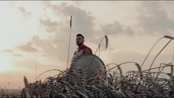 밀 밭에 모습을 드러낸 고대 갑옷을 입은 사람. — 비디오