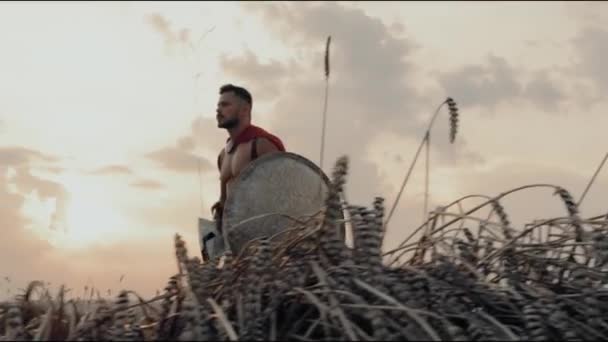 Spartan bez koszuli chodzący po suchym polu. — Wideo stockowe