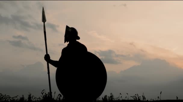 Silhueta de homem de armadura posando com lança no campo. — Vídeo de Stock