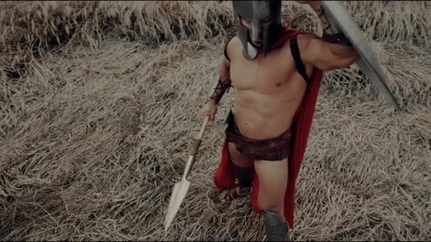 Εκπαίδευση Shirtless Spartan σε ξηρό πεδίο. — Αρχείο Βίντεο