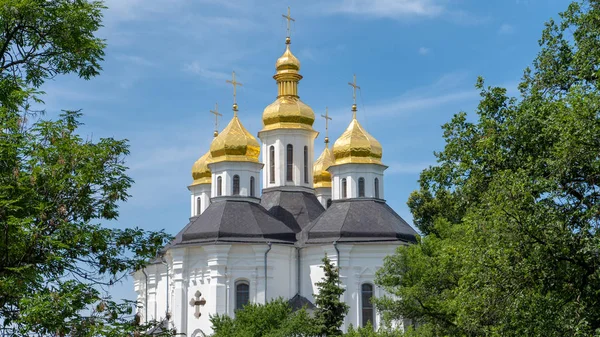 Golden domes of the church of Chernigov. Domes through the crowns of trees