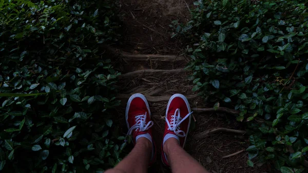 Ayaklar köklerinde. Kayalık bir yüzeyde bacaklar