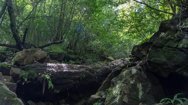 Dağın tepesine çıkan yol