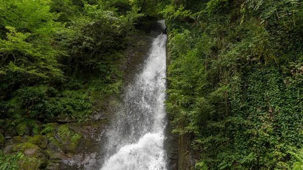 Şelale dağda yüksek