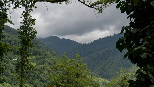 Gürcü dağlarının manzarası