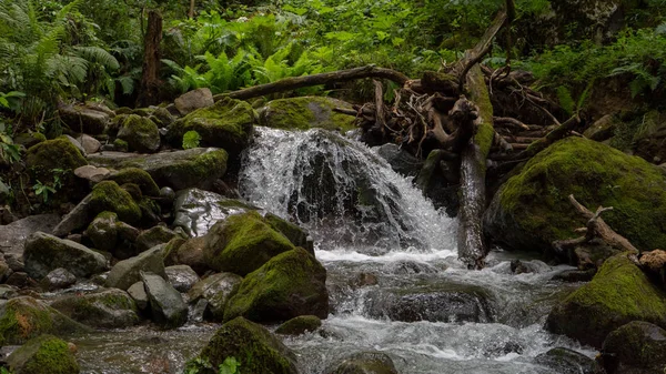 Dağlarda mini şelale