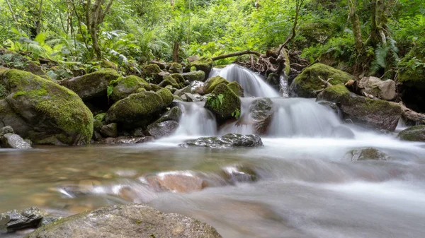 Uzun Pozlama Lush dağ nehri