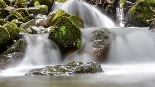 Uzun Pozlama Lush dağ nehri