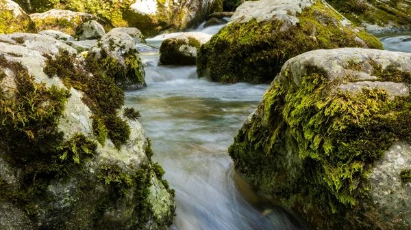 Uzun Pozlama Lush dağ nehri
