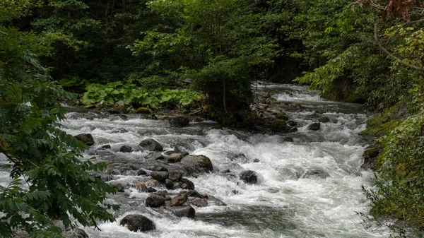 Grönskande Fjäll Älv Mountain River — Stockfoto