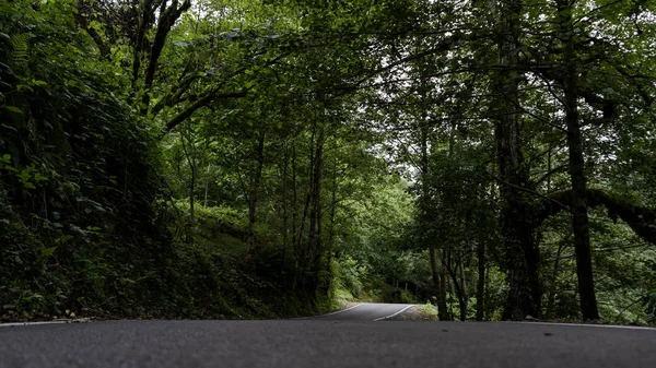 Dağ yolu. Dağın tepesine giden yol