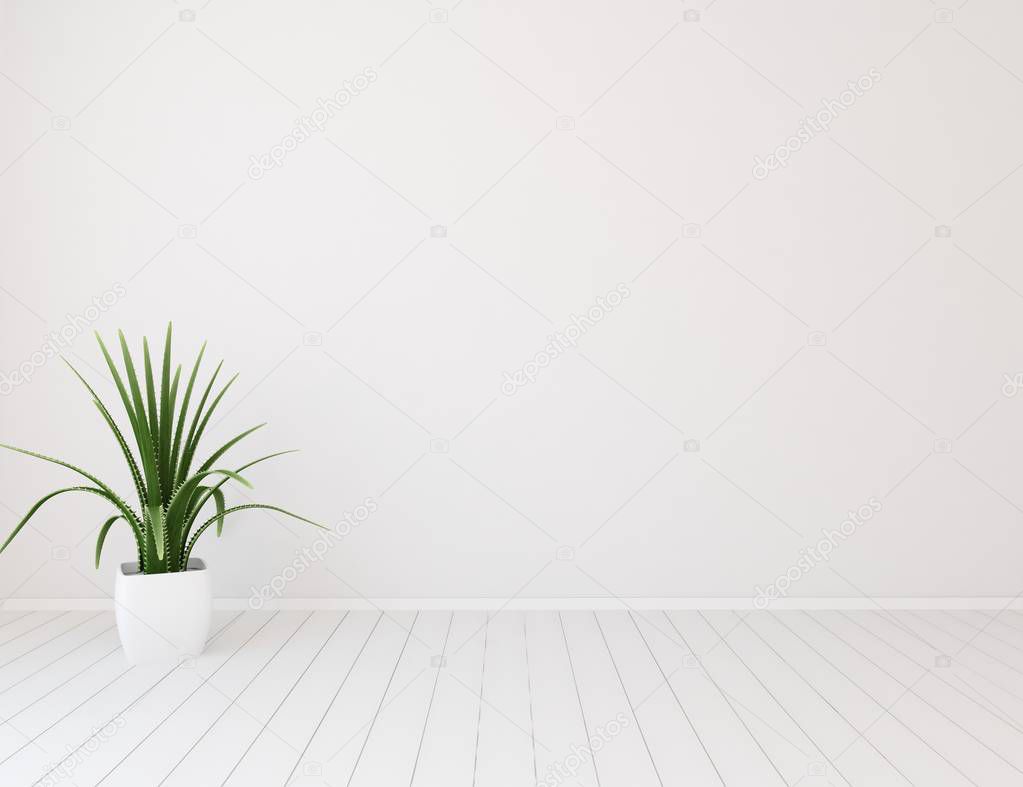 Idea of a white empty scandinavian room interior with plant on wooden floor  . Home nordic interior. 3D illustration - Illustration