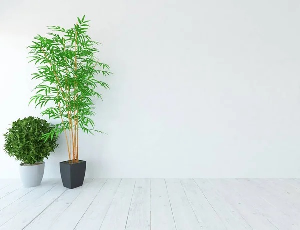 Idea Habitación Escandinava Vacía Blanca Interior Con Jarrones Suelo Madera — Foto de Stock