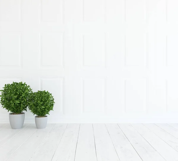 Idéia Interior Quarto Escandinavo Vazio Branco Com Vasos Chão Madeira — Fotografia de Stock