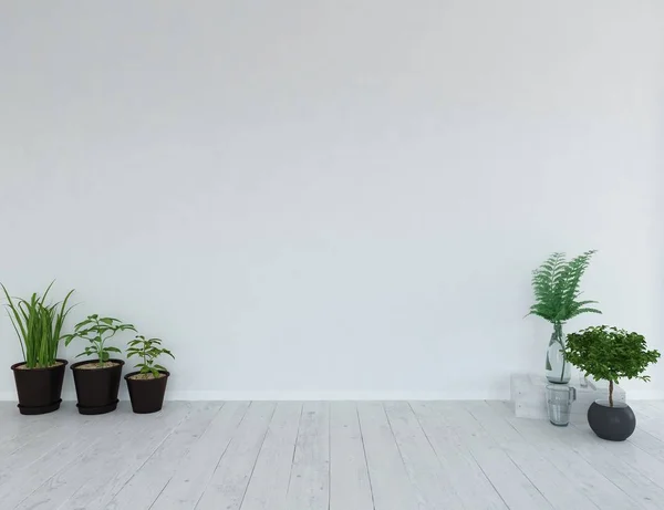 Idéia Interior Quarto Escandinavo Vazio Branco Com Vasos Chão Madeira — Fotografia de Stock