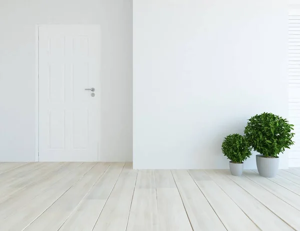 Idea of a white empty scandinavian room interior with plants on wooden floor . Home nordic interior. 3D illustration