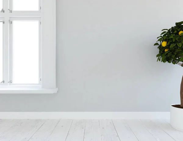 Idea of a white empty scandinavian room interior with plant on wooden floor  . Home nordic interior. 3D illustration - Illustration