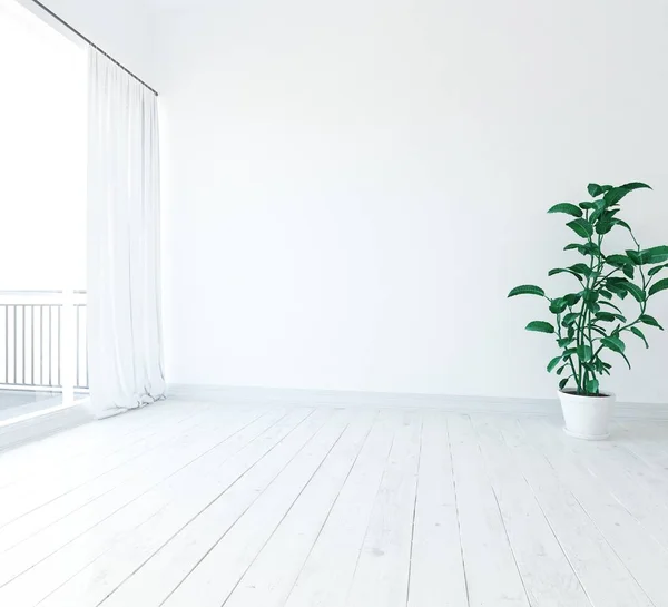 Idée Chambre Scandinave Vide Intérieur Avec Plante Sur Sol Bois — Photo