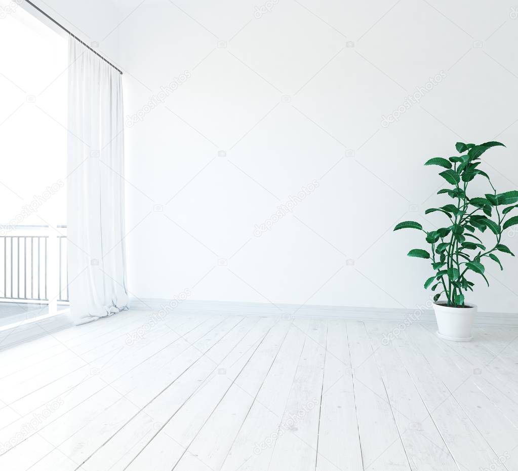 Idea of  empty scandinavian room interior with plant on wooden floor . Home nordic interior. 3D illustration 