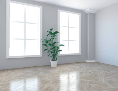 Beyaz boş İskandinav odası iç ahşap zemin üzerinde bitki ile fikir. Ev nordic iç. 3D çizim - illüstrasyon