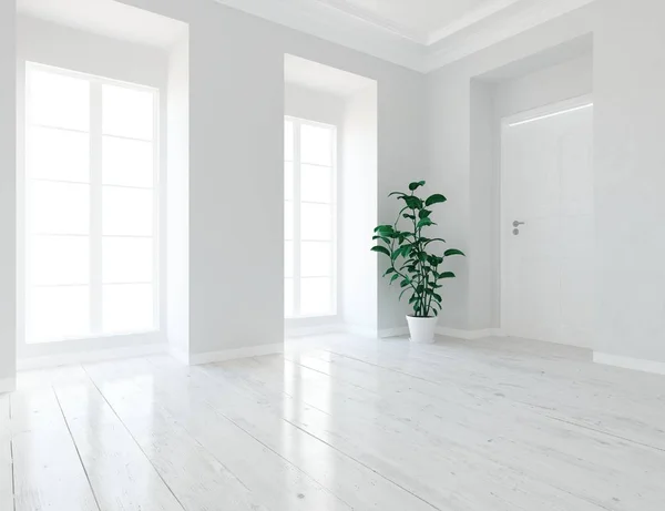 Idea Una Habitación Escandinava Vacía Blanca Interior Con Planta Suelo — Foto de Stock