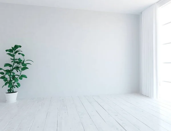 Beyaz Boş Skandinav Odası Ahşap Zemin Üzerinde Bitki Ile Fikir — Stok fotoğraf