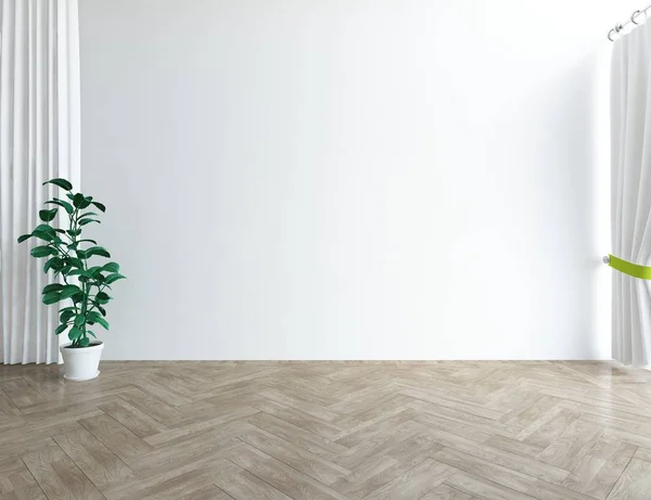 Idee Eines Weißen Leeren Skandinavischen Raumes Mit Pflanzen Auf Holzboden — Stockfoto
