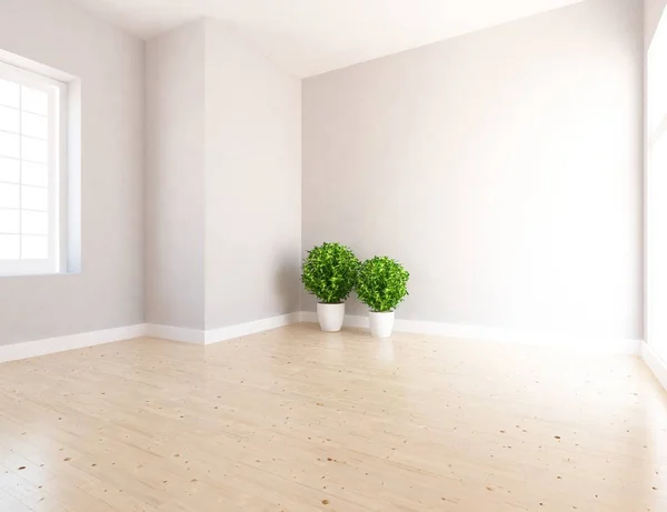 一个白色的空斯堪的纳维亚房间内部的想法与植物在木地板上 家北欧内饰 — 图库照片
