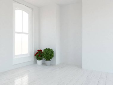 Boş İskandinav odası iç ahşap zemin üzerinde bitkiler ile fikir. Ev nordic iç. 3D çizim