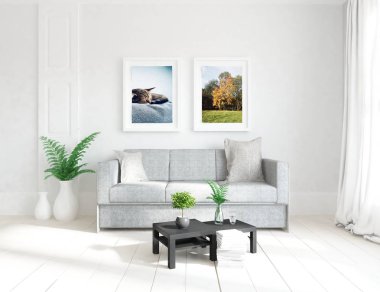 Bir beyaz İskandinav oturma odası iç kanepe, bitkiler ve ahşap zemin ile fikir. Ev nordic iç. 3D çizim 