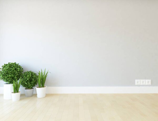 Idea of  empty scandinavian room interior with plants on wooden floor  . Home nordic interior. 3D illustration - Illustration