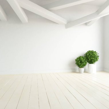 Boş İskandinav odası iç ahşap zemin üzerinde bitkiler ile fikir. Ev nordic iç. 3D çizim