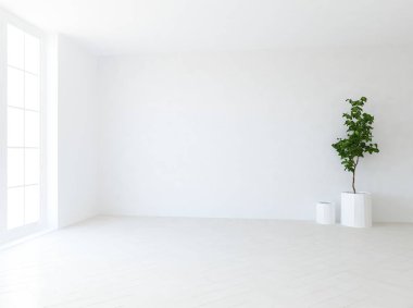 Boş İskandinav odası iç ahşap zemin üzerinde bitki ile fikir. Ev nordic iç. 3D çizim - illüstrasyon