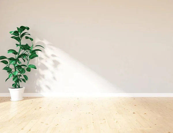 Myšlenka Bílé Prázdné Místnosti Skandinávský Interiér Rostlinou Dřevěné Podlaze Domácí — Stock fotografie