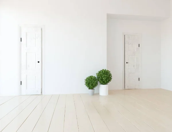 Ideia Interior Sala Escandinavo Vazio Com Plantas Chão Madeira Casa — Fotografia de Stock