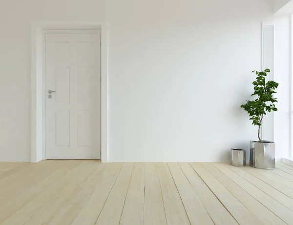 Idée Une Chambre Blanche Vide Scandinave Intérieur Avec Plante Sur — Photo